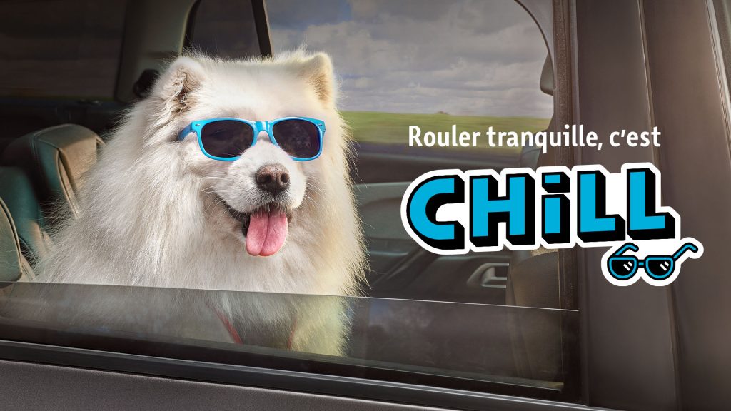 Campagne Vitesse 2019 Chill FR