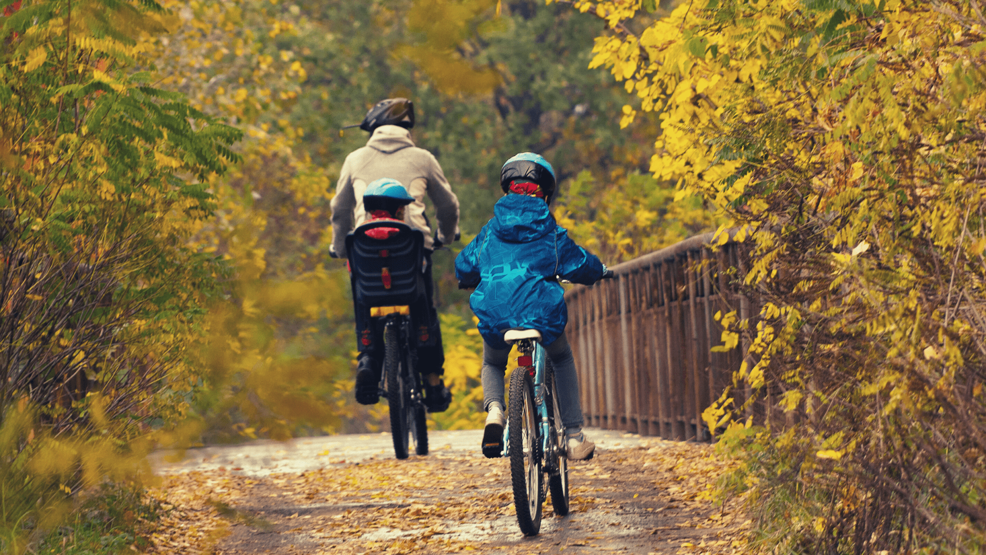 Faire Une Balade à Vélo En Automne (message Twitter)